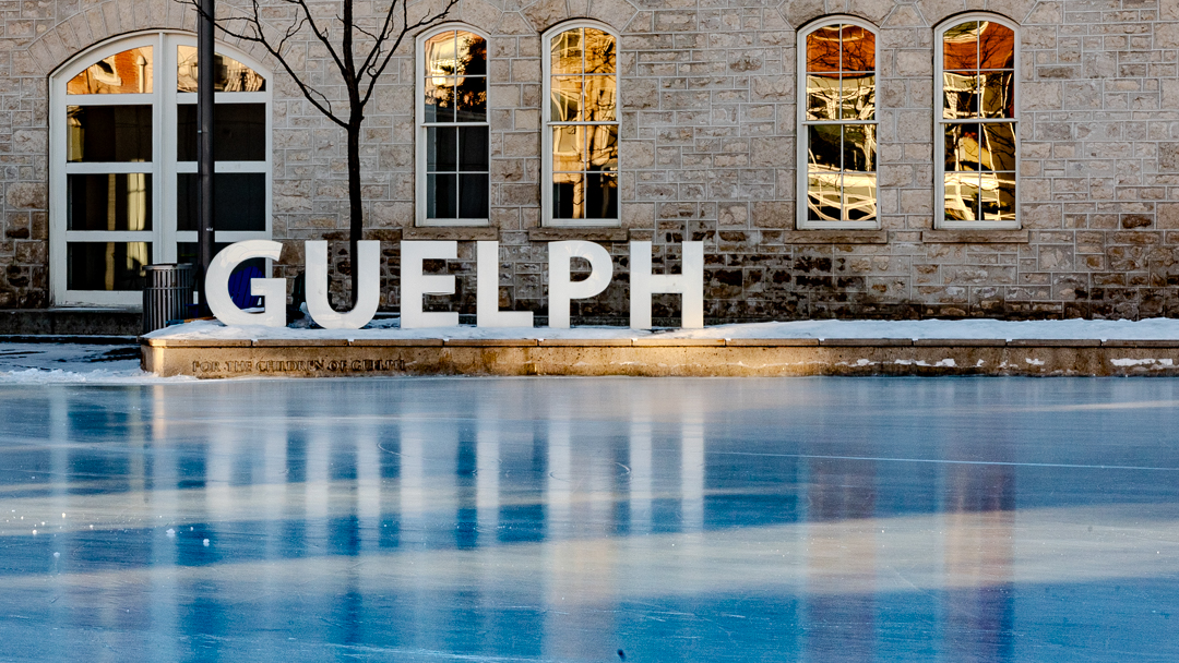 Michael Bennett Guelph Real Estate - The illuminated Guelph sign behind the outdoor skating rink at Market Square in Downtown Guelph.